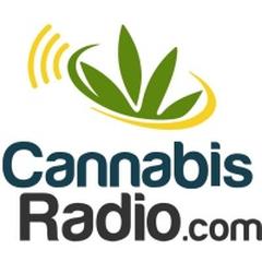 medical marijuana, martina jaccarino 