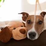 nevada estate planning lawyer, las vegas estate planning lawyer, estate planning, will, trust